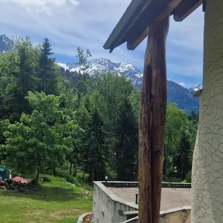 Alpehytte Et Montagne Pres Des Stations De